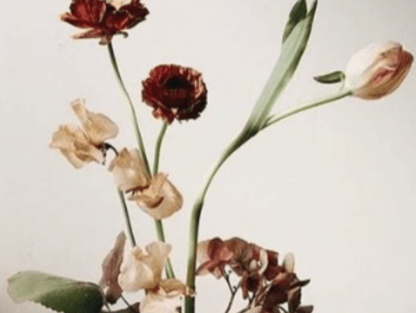 On our mind: 2-11-23 - APORTA Shop