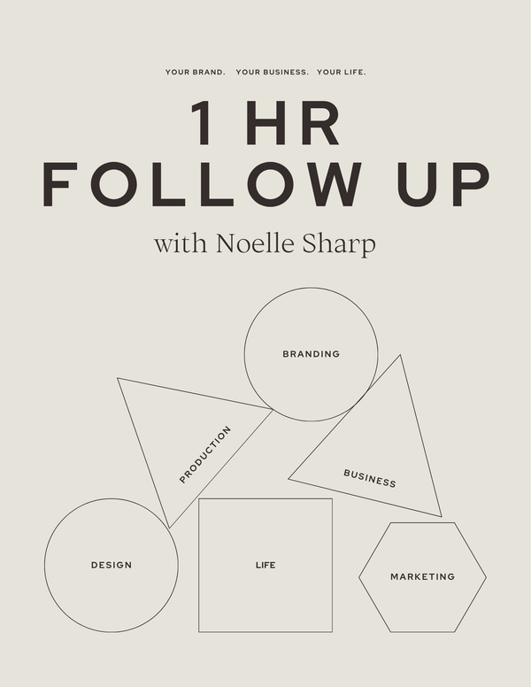 1 Hour Follow Up With Noelle Sharp