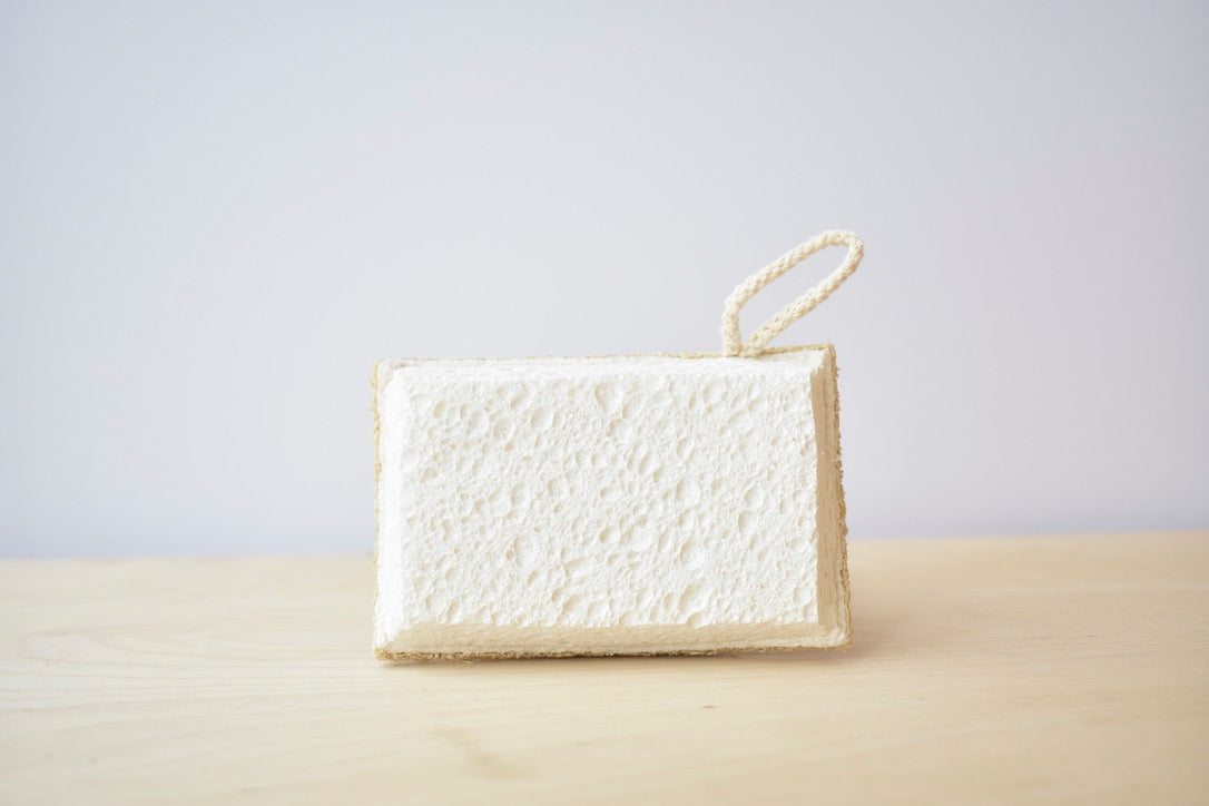 Compostable Eco Dish Sponge 3-Pack - Earth Ahead